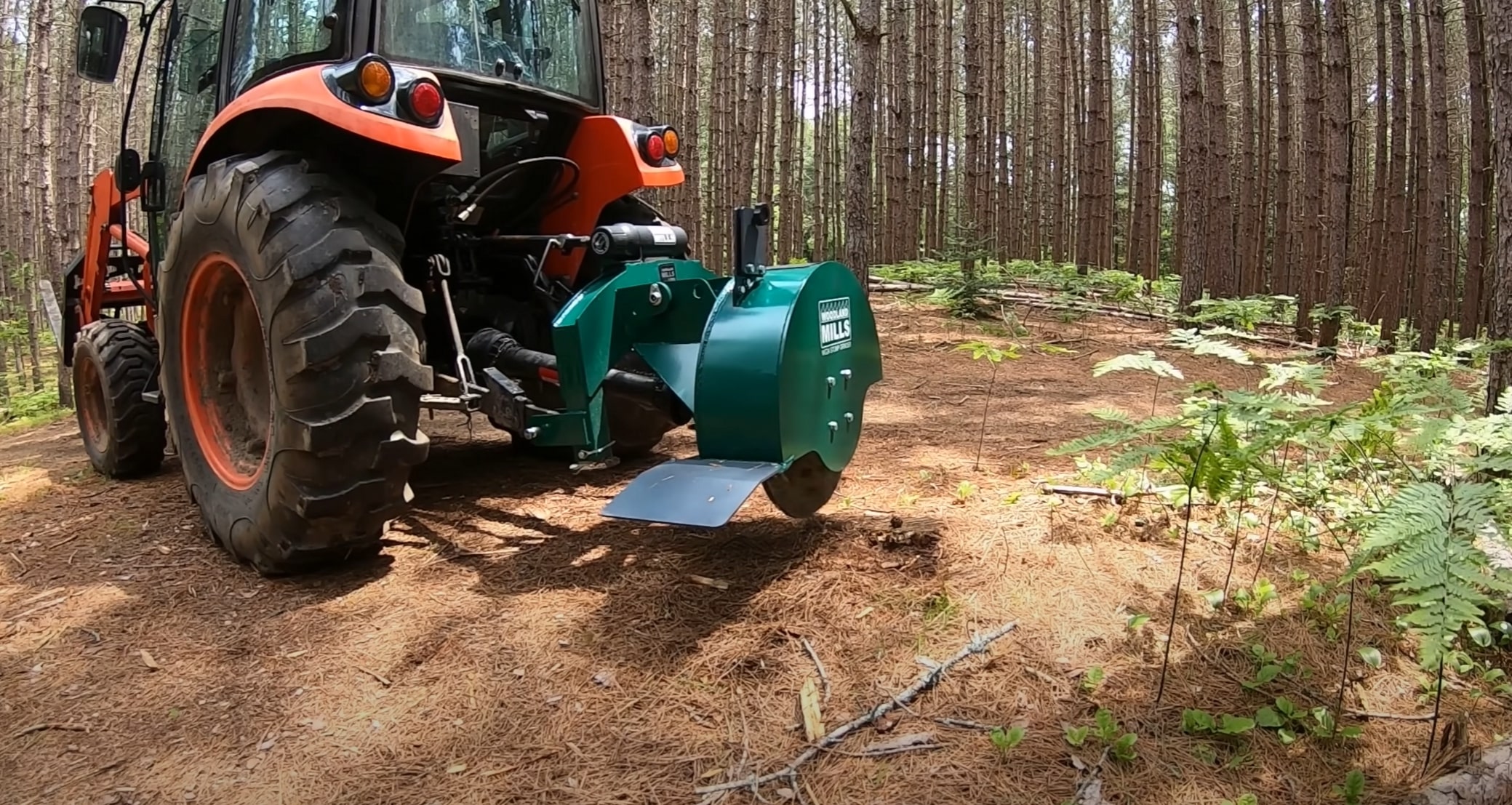Stump grinding and removal equipment in St. Clair Shores, MI