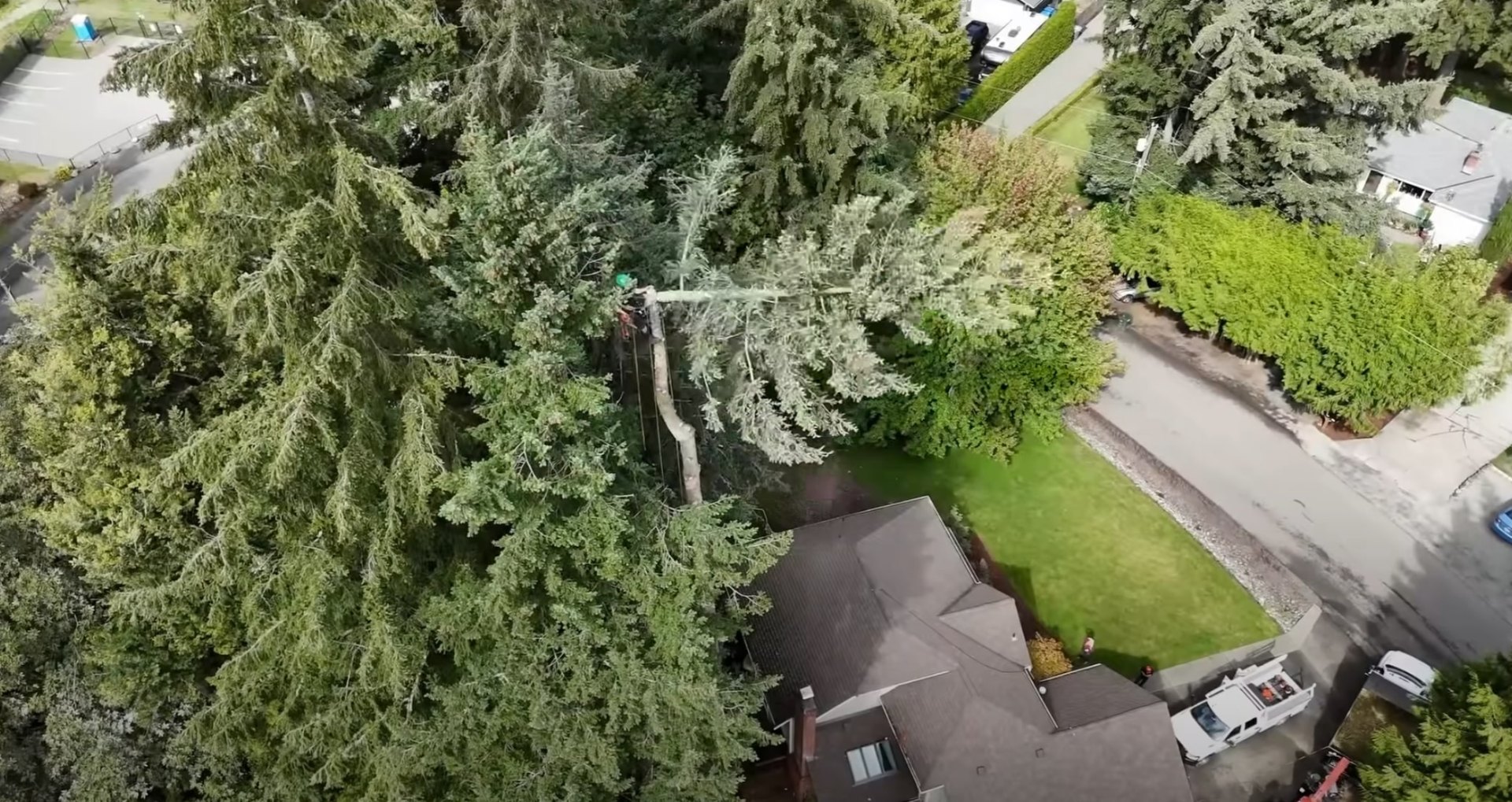 Professional tree service work in progress - aerial view of residential tree care Aerial view of residential property with mature trees and professional tree service equipment in St Clair Shores