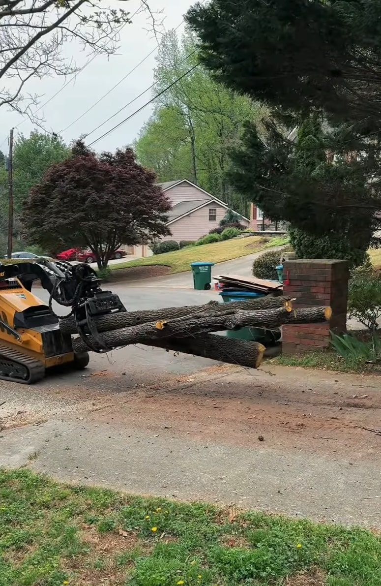 Expert tree removal services using specialized equipment Professional tree removal with heavy machinery in residential area
