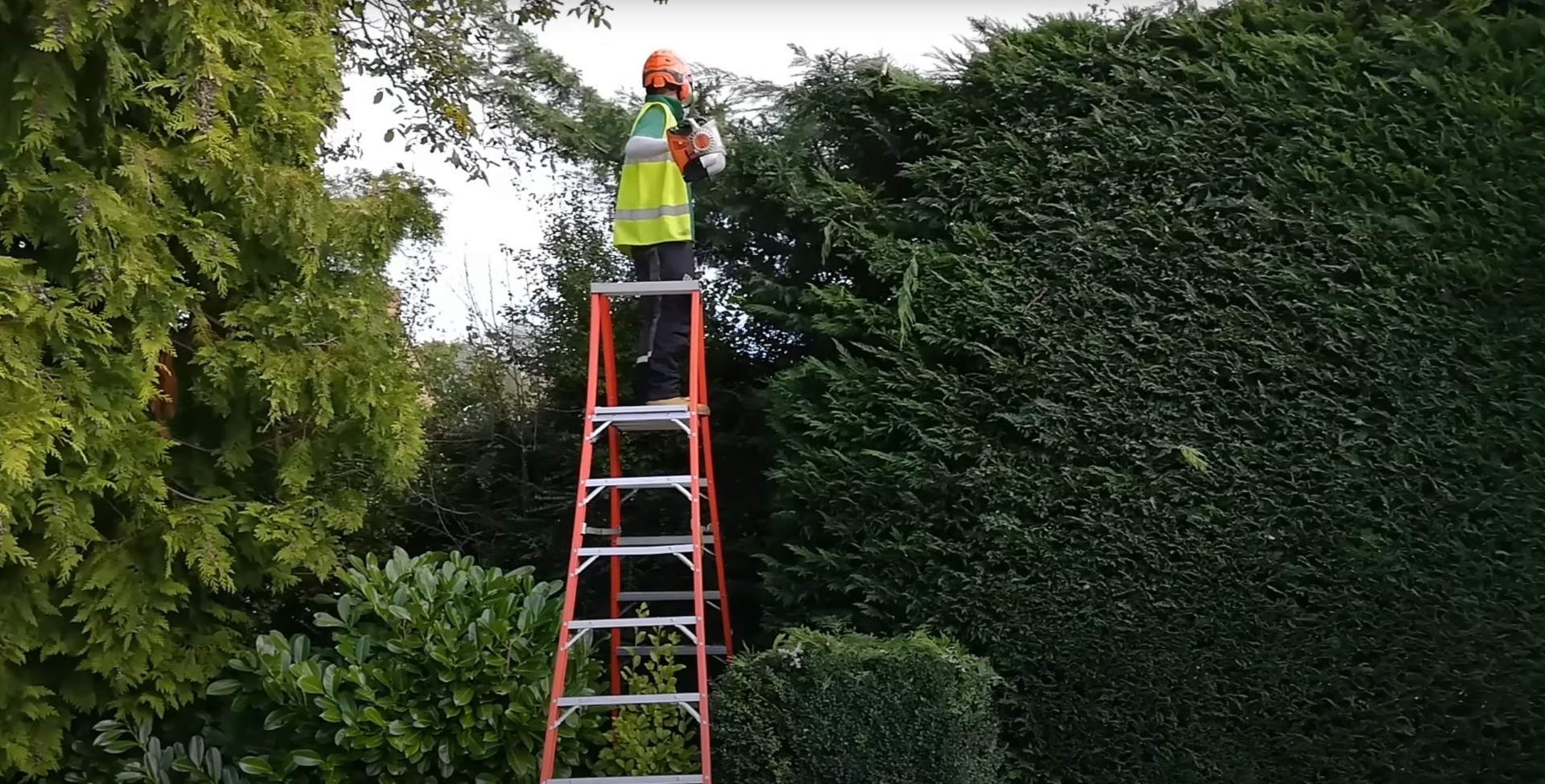 Professional tree trimming and pruning services Arborist on ladder performing tree trimming with chainsaw