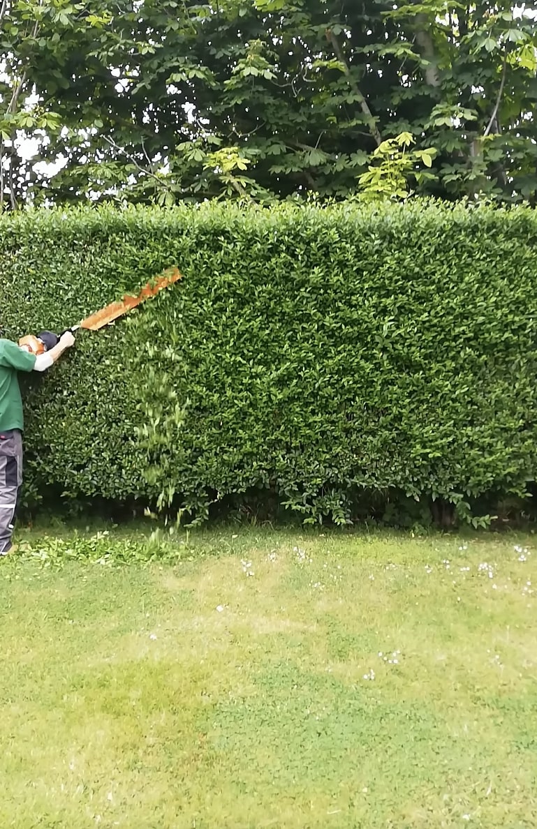 Seasonal tree trimming services for healthy growth Professional tree trimming and hedge maintenance